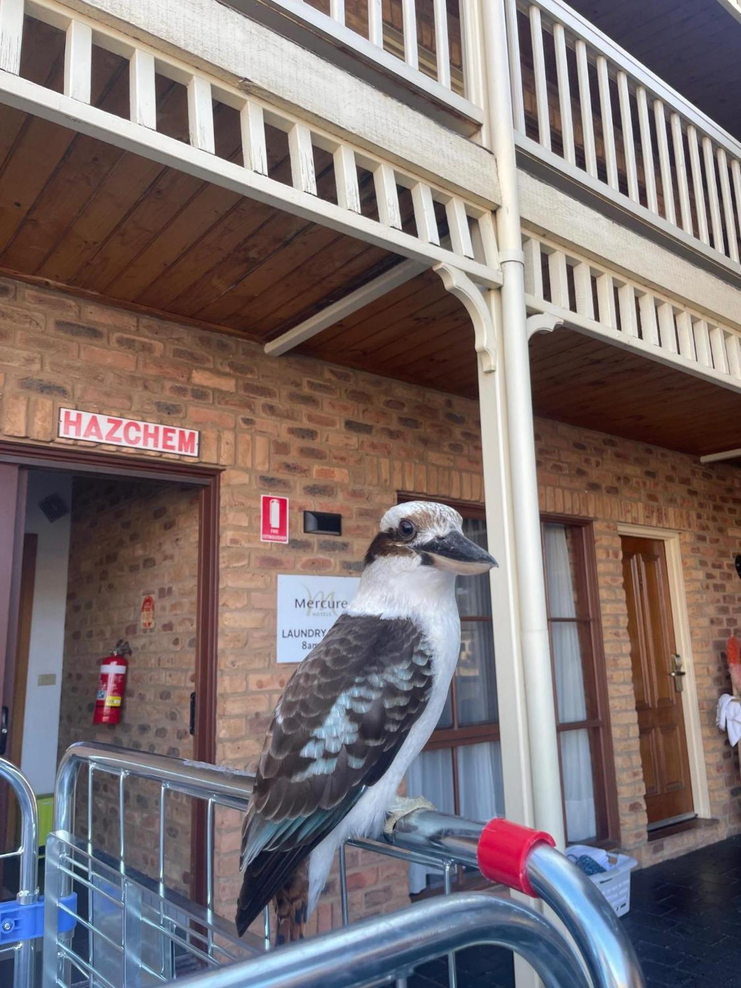 Mercure Port Of Echuca Kültér fotó